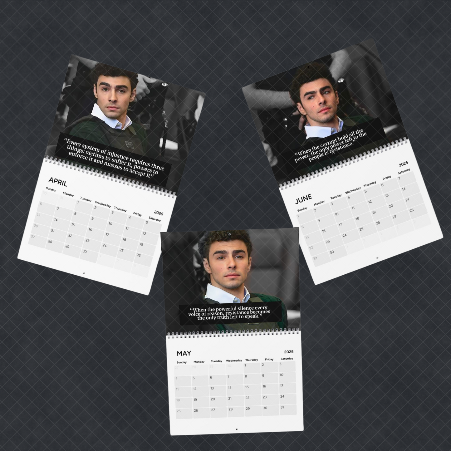 Luigi Mangione 2025 Calendar